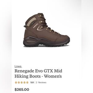 Renegade Evo GTX Mid Hiking Boots - Women's